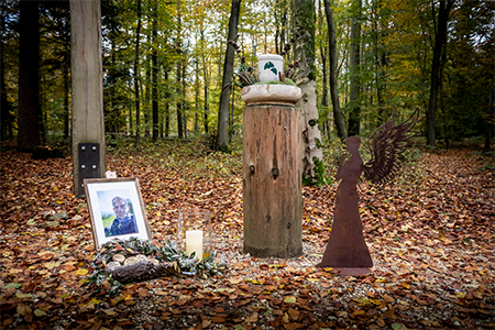 FA_FriedWald_Intext-Image_20241022 FA_FriedWald_Intext-Image_20241022