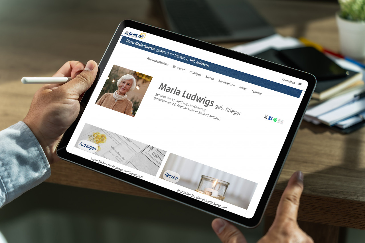 FA_Rapid-Data_Intext-Image3-03-25gedenkportal