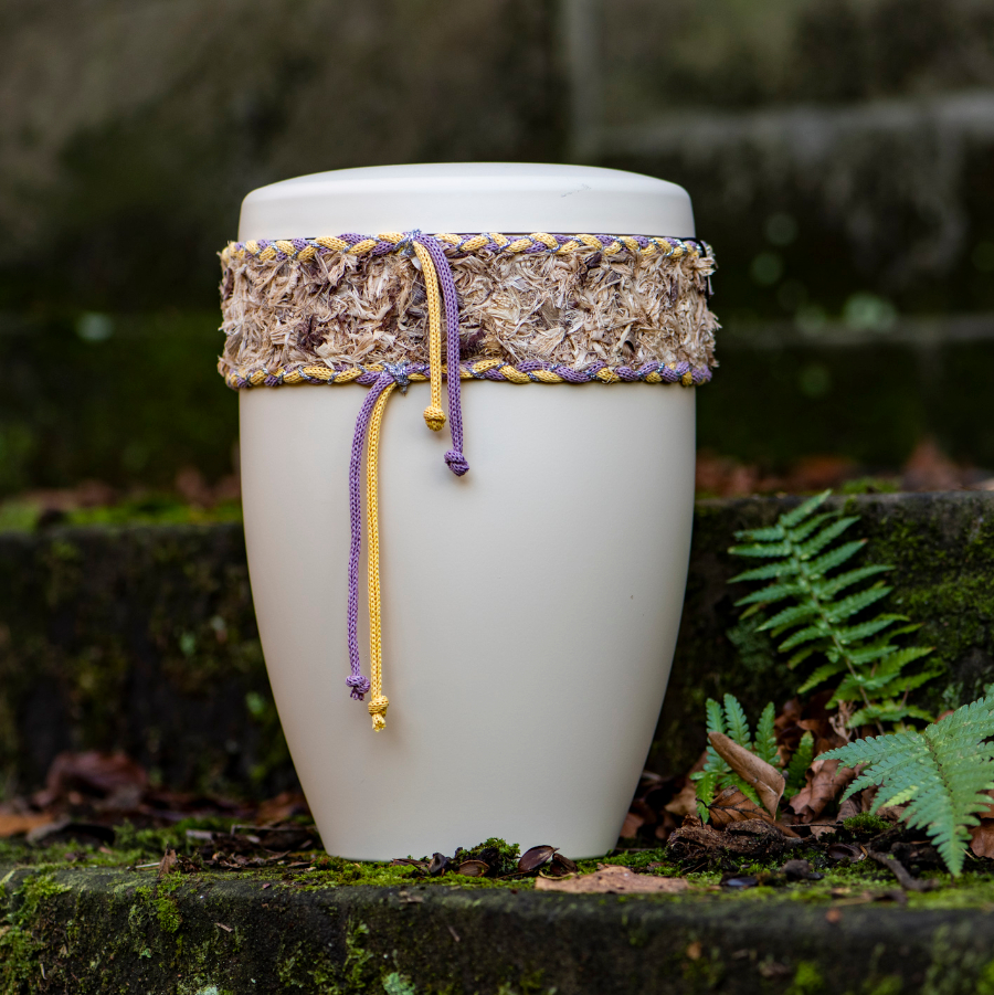 Intext_Artikel_Heiso27593_F-2 Intext_Artikel_Heiso27593_F-2