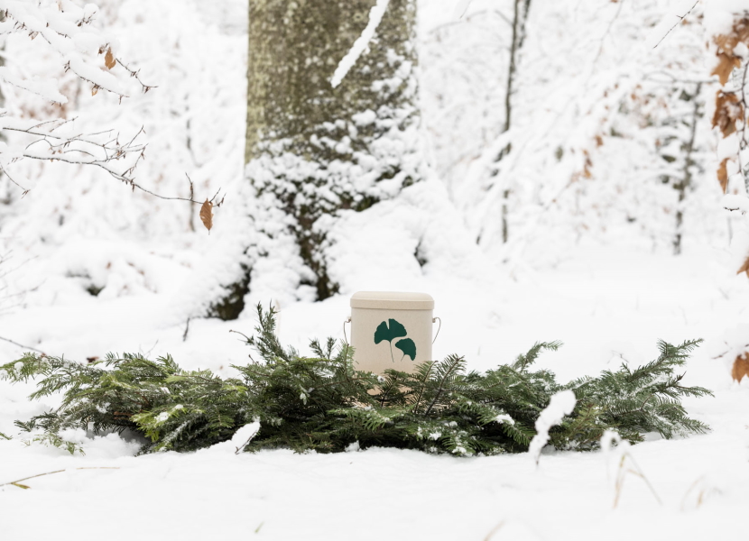 Newsbild_FriedWald_Exklusive-Durchwahl_Januar_24_830x600 Newsbild_FriedWald_Exklusive-Durchwahl_Januar_24_830x600