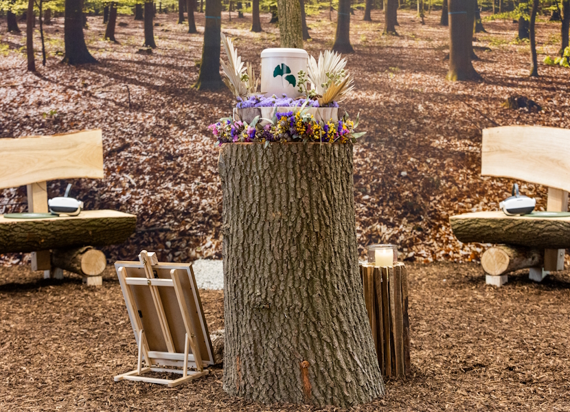 Newsbild_FriedWald_FORUM-BEFA-Hamburg_Februar_2025_830x600 Newsbild_FriedWald_FORUM-BEFA-Hamburg_Februar_2025_830x600