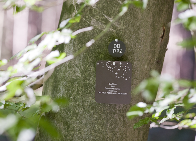 Newsbild_FriedWald_Neue-Angebote_Juni_2025_830x600_2